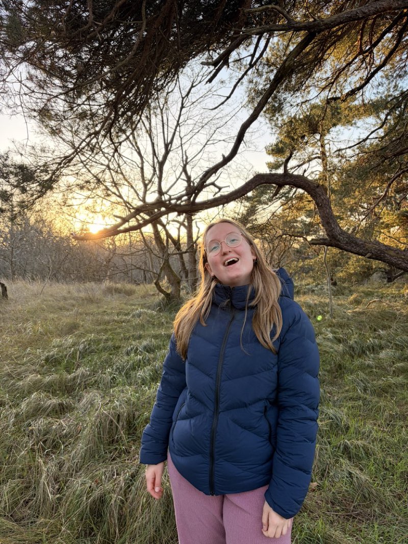 Beertje in de wilde bossen